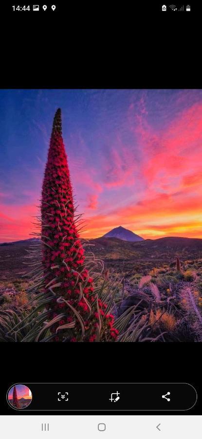 Appartamento Casa Nea El Rosario  Esterno foto